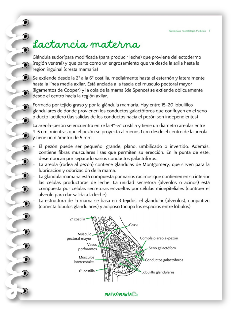 Neonatología - Imagen 3