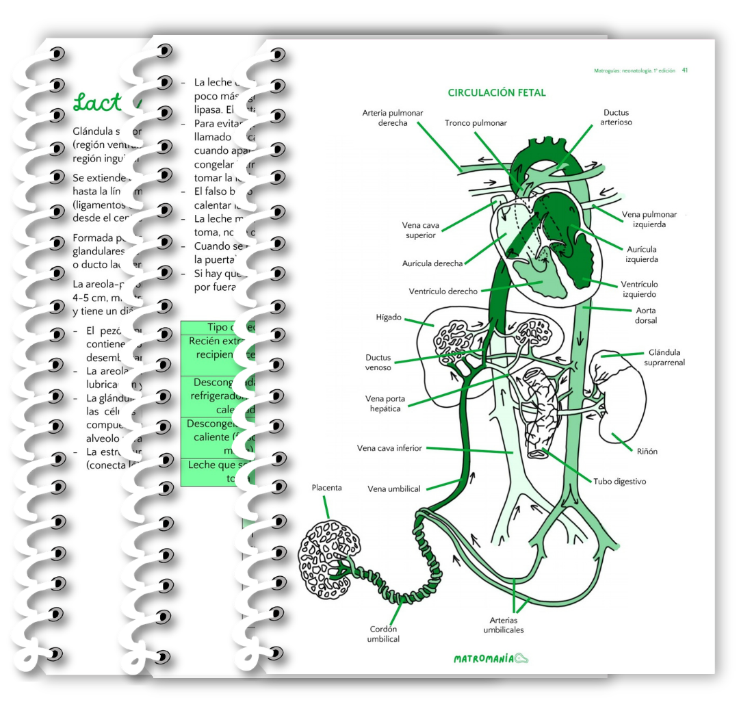 Neonatología - Imagen 5